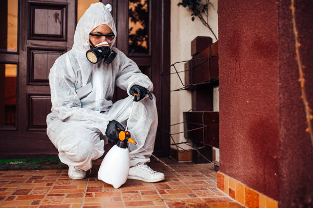 Reliable Bed Bug Control contractor in Louisa, KY by Nex Pest Control